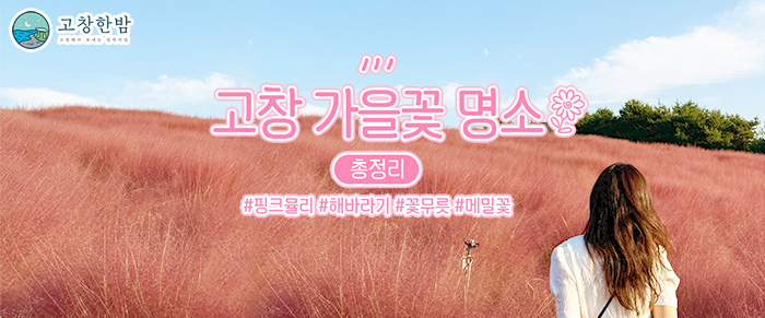 고창 가을꽃 명소 총정리