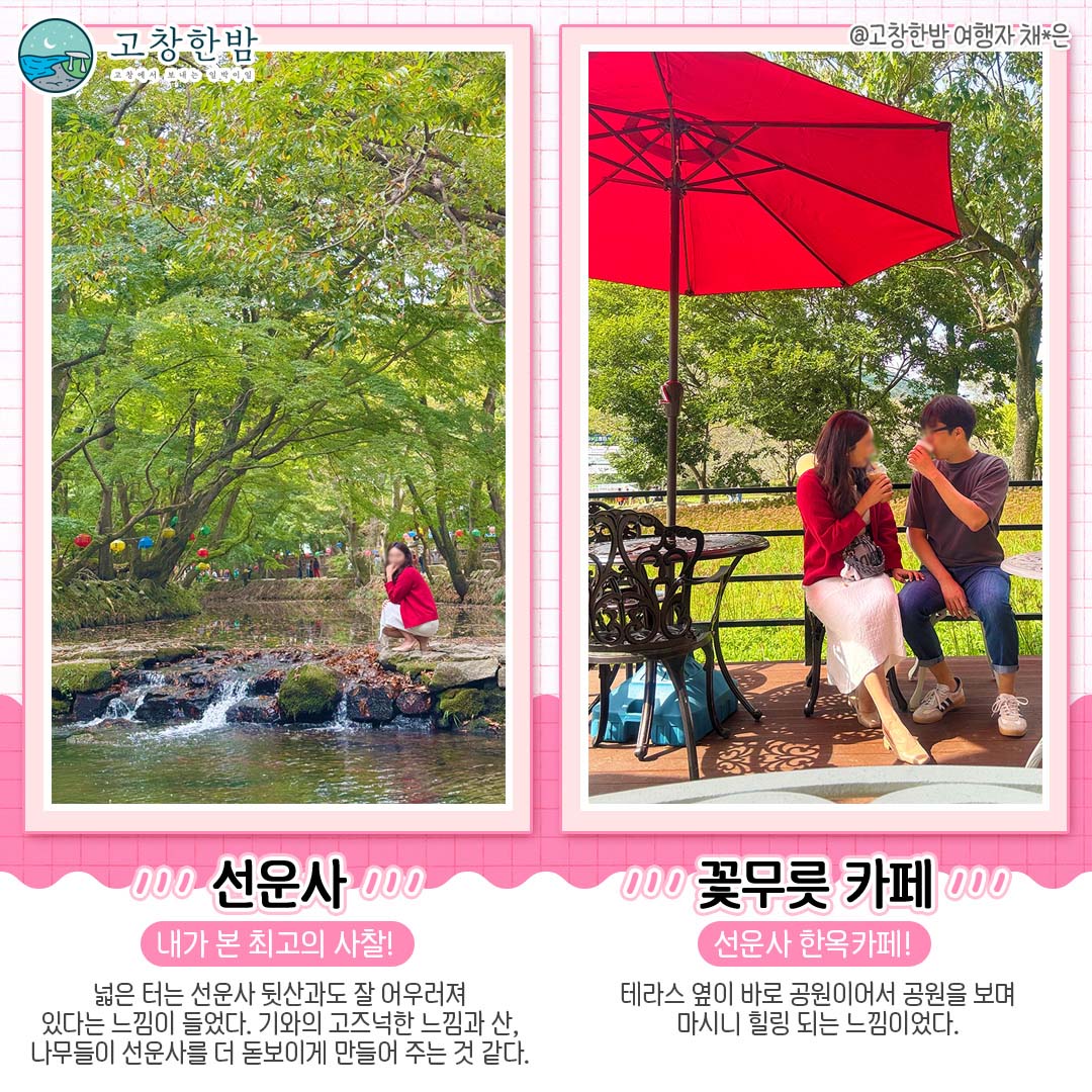 고창 가을꽃 명소 총정리_7