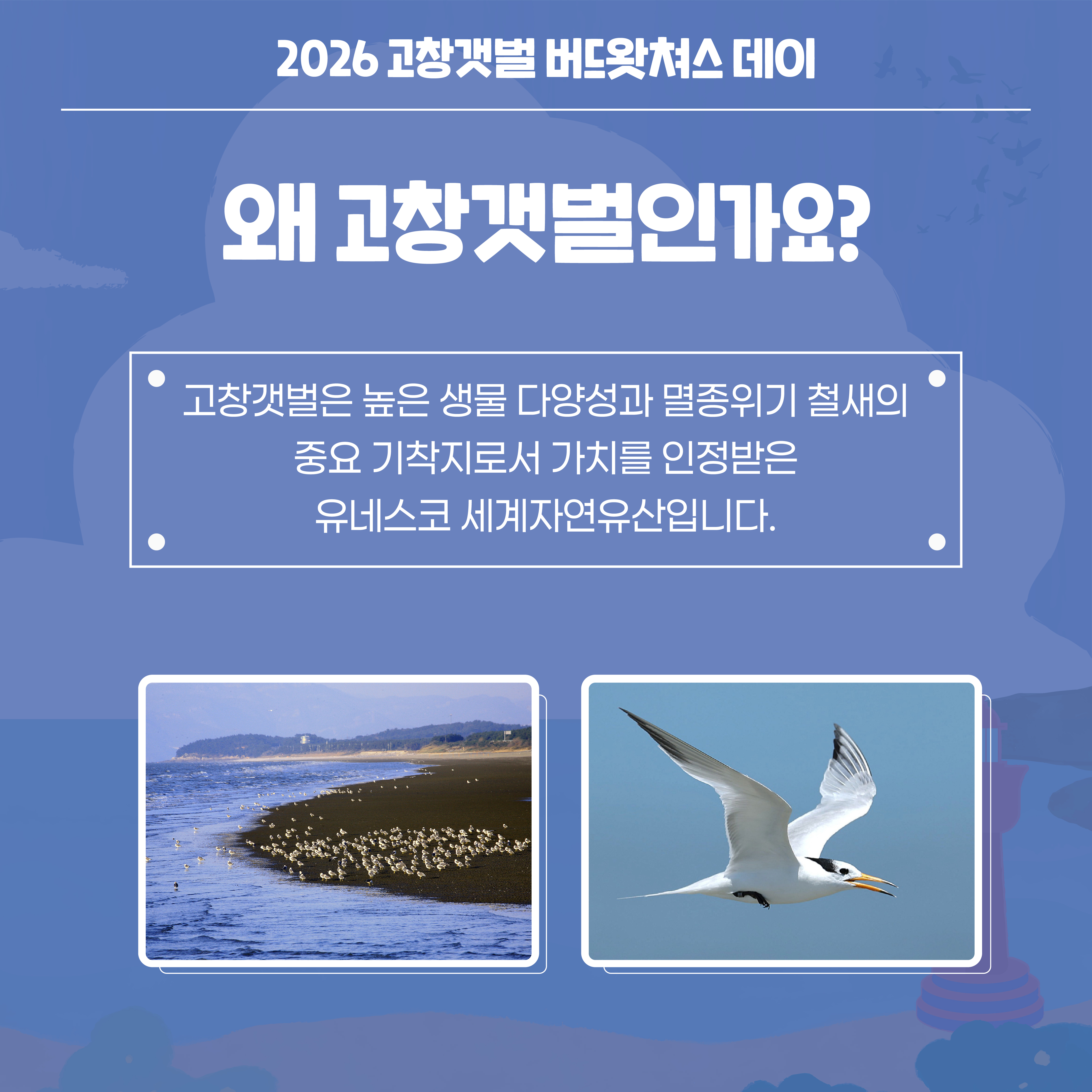 1783002324269_KakaoTalk_20260702_171412935_01.jpg