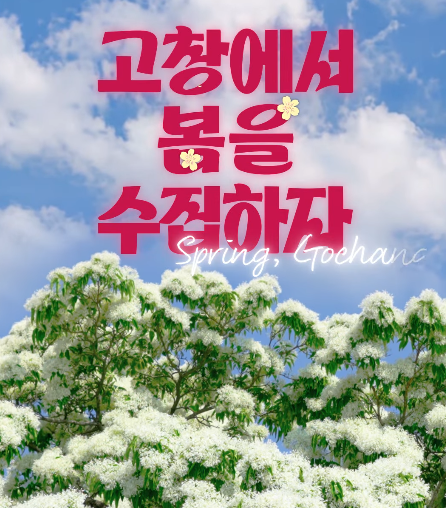 고창에서 봄을 수집하자 2