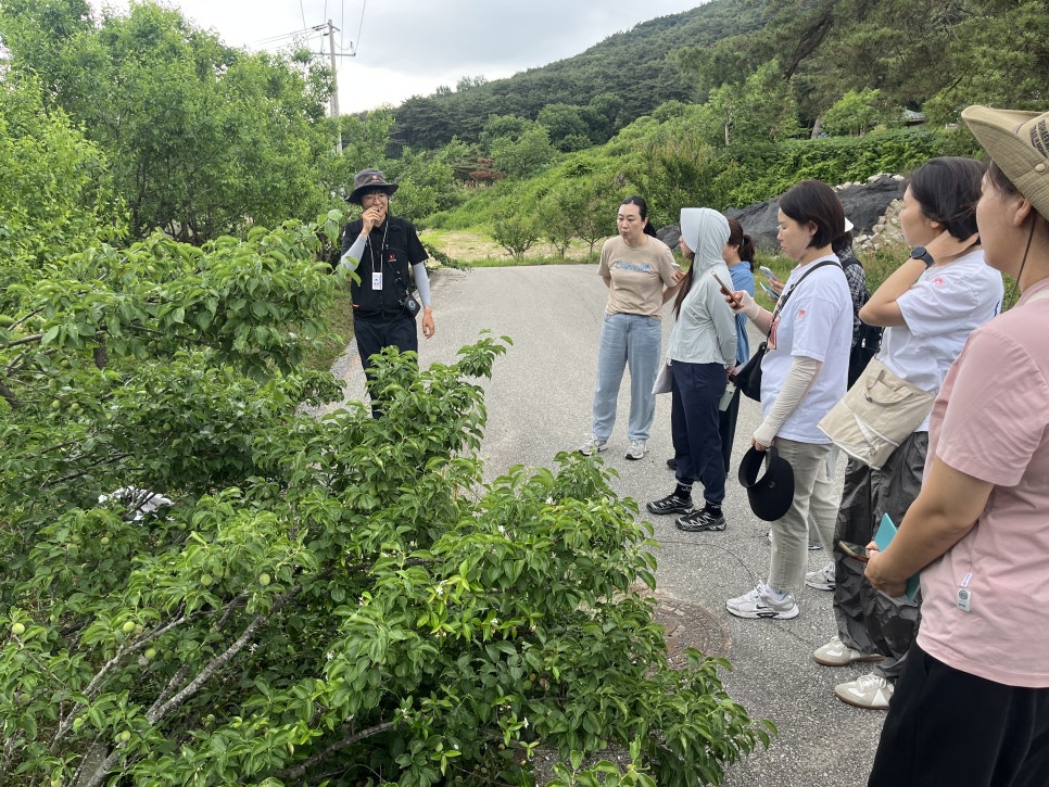 고창 관광 전문 인력 양성과정 2회차 in 전북 천리길 고창읍성길